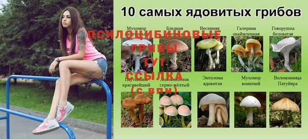 каннабис Алексин
