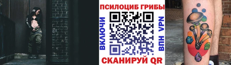купить наркоту  Алупка  Галлюциногенные грибы Psilocybe 